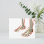 Botten van de Feet Briefkaart (Staand voorkant)