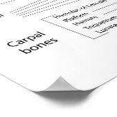 Botten van de hand, voorzien van een schema. poster (Hoek)