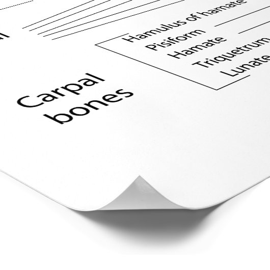 Botten van de hand, voorzien van een schema. poster (Hoek)