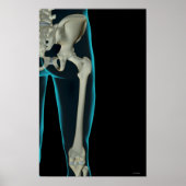Botten van de Hip 2 Poster (Voorkant)