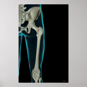 Botten van de Hip 2 Poster