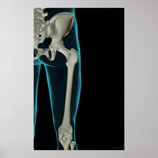 Botten van de Hip 2 Poster (Voorkant)
