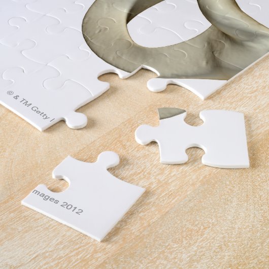 Botten van de Hip 5 Legpuzzel (Zijkant)