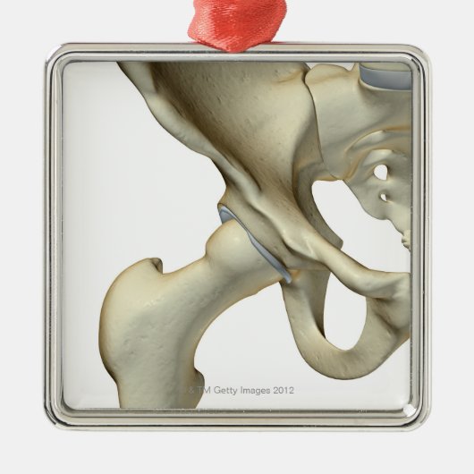 Botten van de Hip 5 Metalen Ornament (Voorkant)