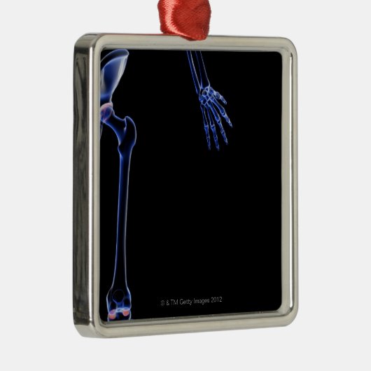 Botten van de Hip Metalen Ornament (Rechts)