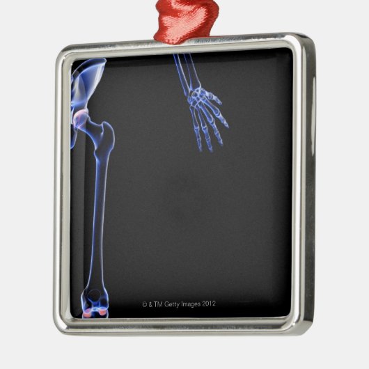 Botten van de Hip Metalen Ornament (Links)