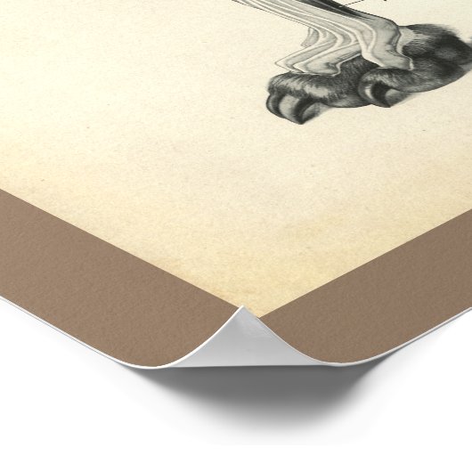 Botten van de hond Spier Veterinaire Anatomie Afdr Poster (Hoek)