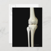 Botten van de knie 4 briefkaart (Voorkant / Achterkant)