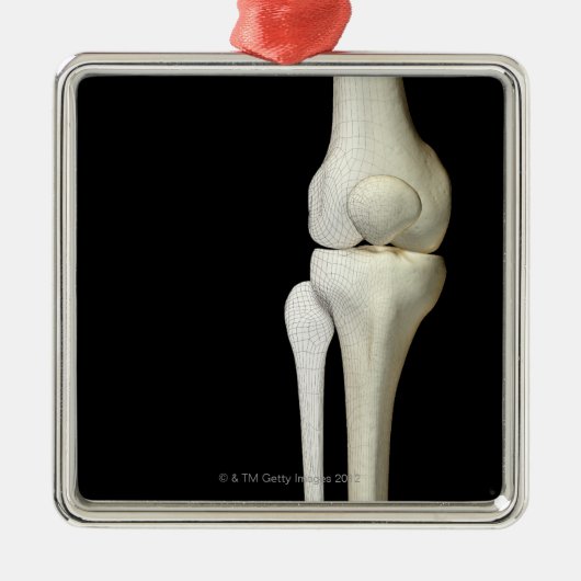 Botten van de knie 4 metalen ornament (Voorkant)
