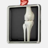 Botten van de knie 4 metalen ornament (Links)