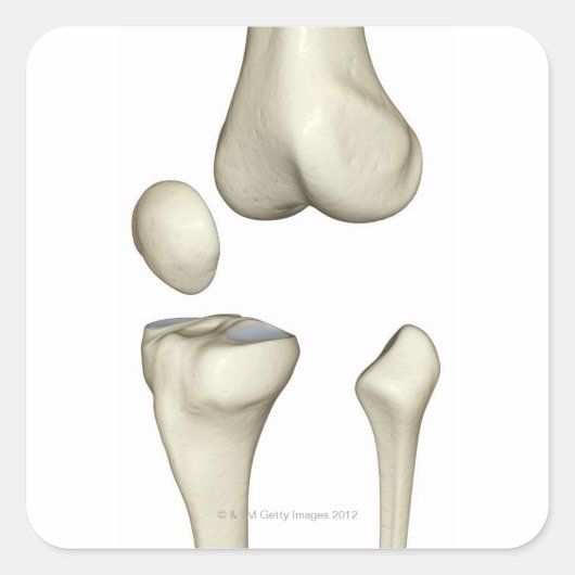 Botten van de knie 5 vierkante sticker (Voorkant)