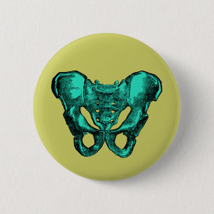 Botten van de menselijke anatomie Pelvis Ronde Button 5,7 Cm