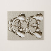 Botten van de menselijke bekken legpuzzel (Horizontaal)