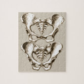 Botten van de menselijke bekken legpuzzel (Verticaal)