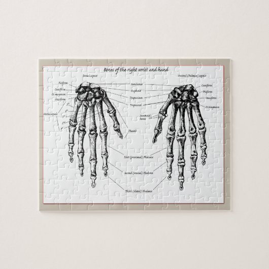 Botten van de menselijke hand legpuzzel (Horizontaal)