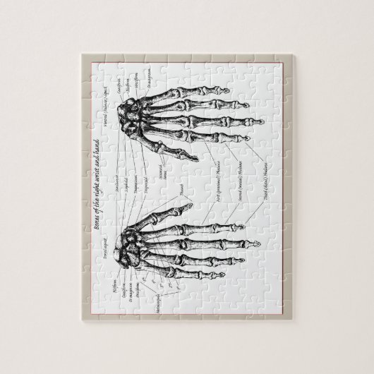 Botten van de menselijke hand legpuzzel (Verticaal)