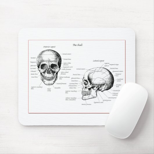 Botten van de menselijke schedel muismat (Met muis)