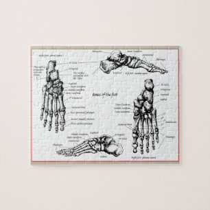 Botten van de menselijke voet legpuzzel