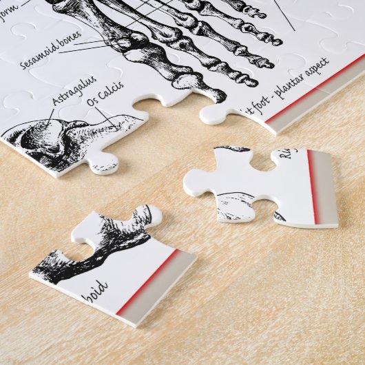 Botten van de menselijke voet legpuzzel (Zijkant)