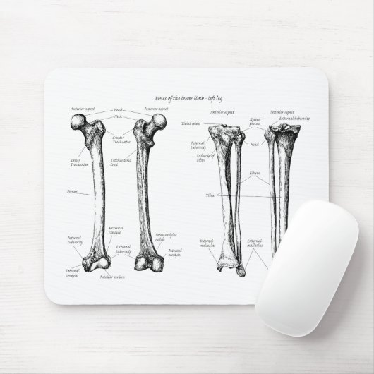 Botten van de onderste ledematen muismat (Met muis)