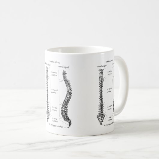 Botten van de Pelvis Koffiemok (Voorkant rechts)