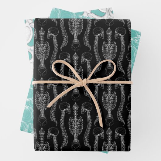 Botten van de schedel en de wervelkolom inpakpapier vel (In situ)