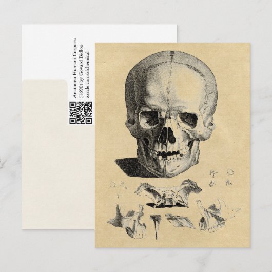 Botten van de schedel en de zaag briefkaart (Voorkant / Achterkant)