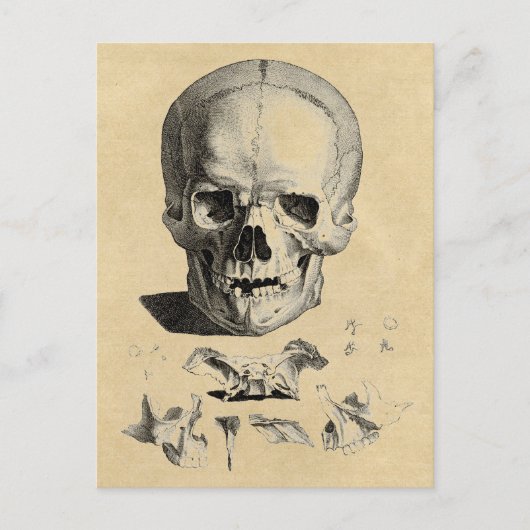 Botten van de schedel en de zaag briefkaart (Voorkant)