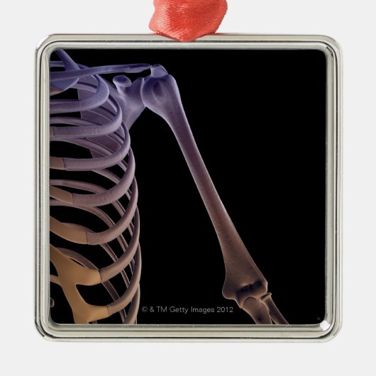 Botten van de schouder metalen ornament (Voorkant)