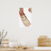 Botten van de voet 15 poster (Keuken)