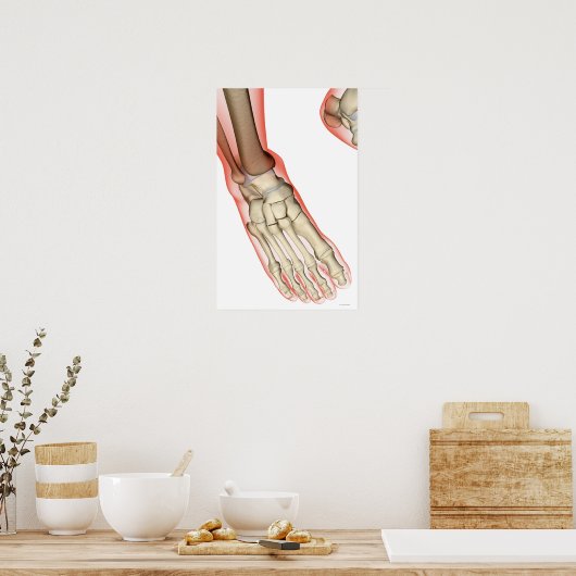 Botten van de voet 15 poster (Keuken)