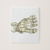 Botten van de voet 8 legpuzzel (Verticaal)