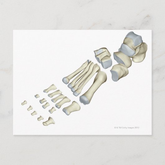 Botten van de voet 9 briefkaart (Voorkant)