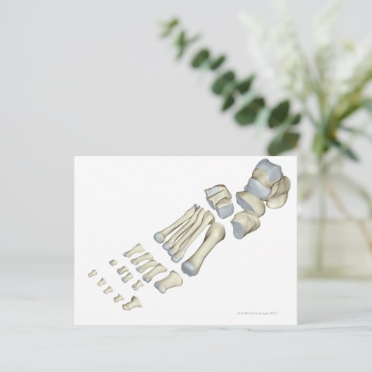 Botten van de voet 9 briefkaart (Staand voorkant)