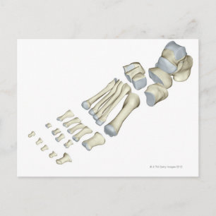 Botten van de voet 9 briefkaart