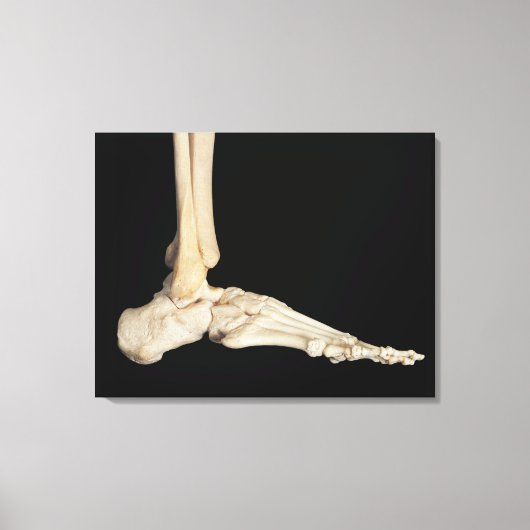Botten van de voet canvas afdruk (Voorkant)