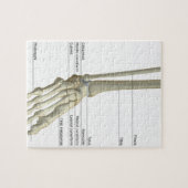 Botten van Foot 6 Legpuzzel (Horizontaal)