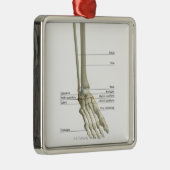 Botten van Foot 6 Metalen Ornament (Rechts)