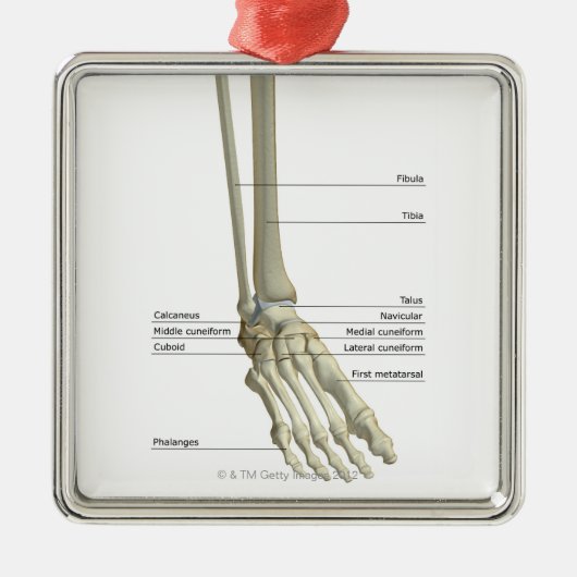 Botten van Foot 6 Metalen Ornament (Voorkant)