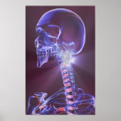 Botten van het hoofd en de nek 5 poster (Voorkant)