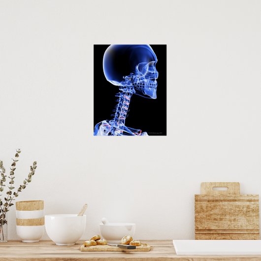 Botten van het hoofd en de nek poster (Keuken)