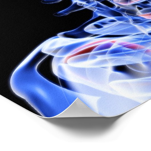 Botten van het hoofd en de nek poster (Hoek)