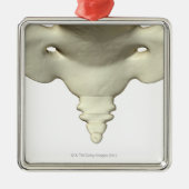 Botten van het staartbeen metalen ornament (Voorkant)
