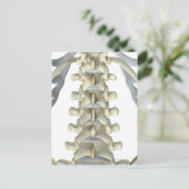 Botten van Lumbar Vertebrae Briefkaart (Staand voorkant)