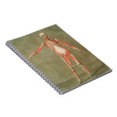 BOTTEN VAN SKELETON ANATOMY LIVE GRAVE MUSCLE ANAT NOTITIEBOEK (Rechterzijde)
