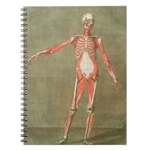 BOTTEN VAN SKELETON ANATOMY LIVE GRAVE MUSCLE ANAT NOTITIEBOEK (Voorkant)