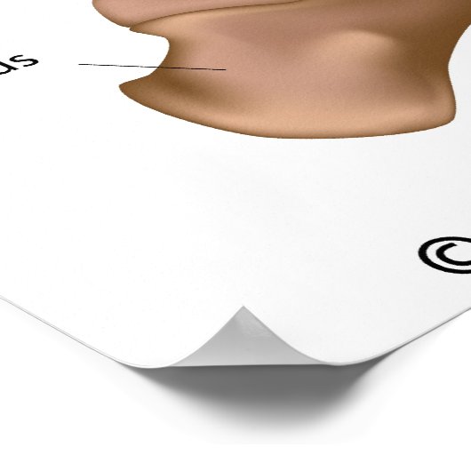 Botten voet, voorzien van een schema. poster (Hoek)