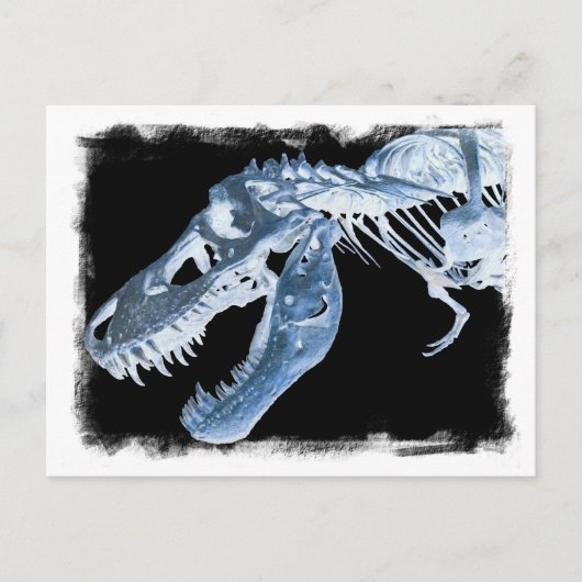 Botten voor Blue & Black T-Rex X-Ray Foto Briefkaart (Voorkant)