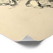  Botten voor schedel 1880 Afdrukken Poster (Hoek)