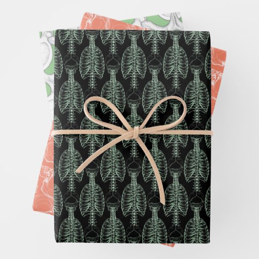 Botten voor schedel en ruggengraat inpakpapier vel (In situ)